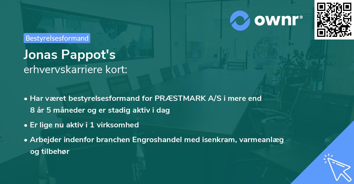 Jonas Pappot's erhvervskarriere kort