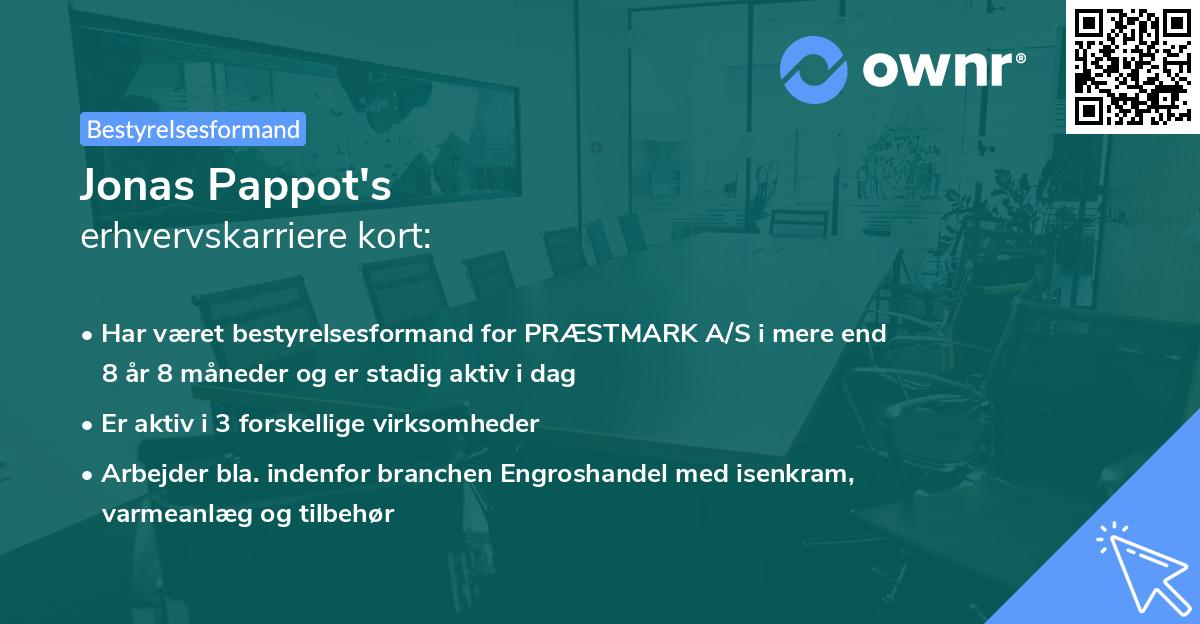 Jonas Pappot's erhvervskarriere kort