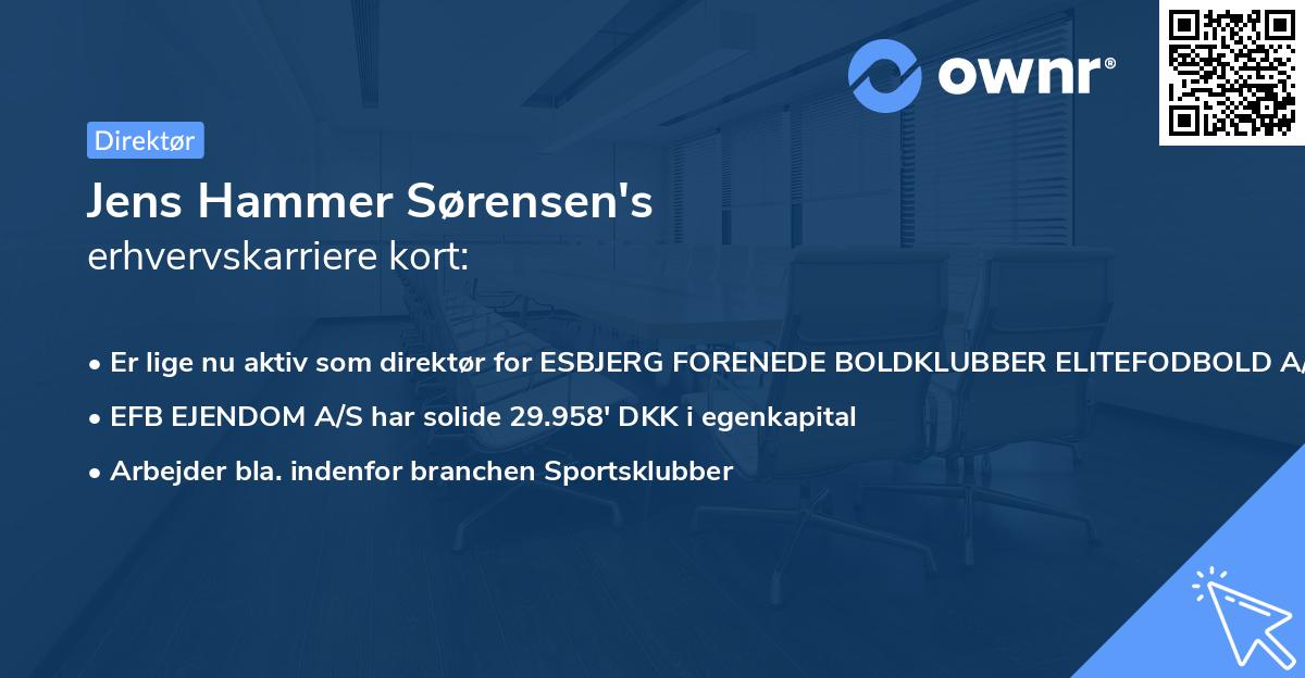 Jens Hammer Sørensen's erhvervskarriere kort
