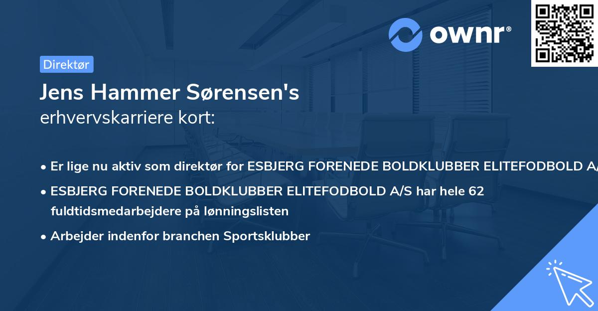 Jens Hammer Sørensen's erhvervskarriere kort