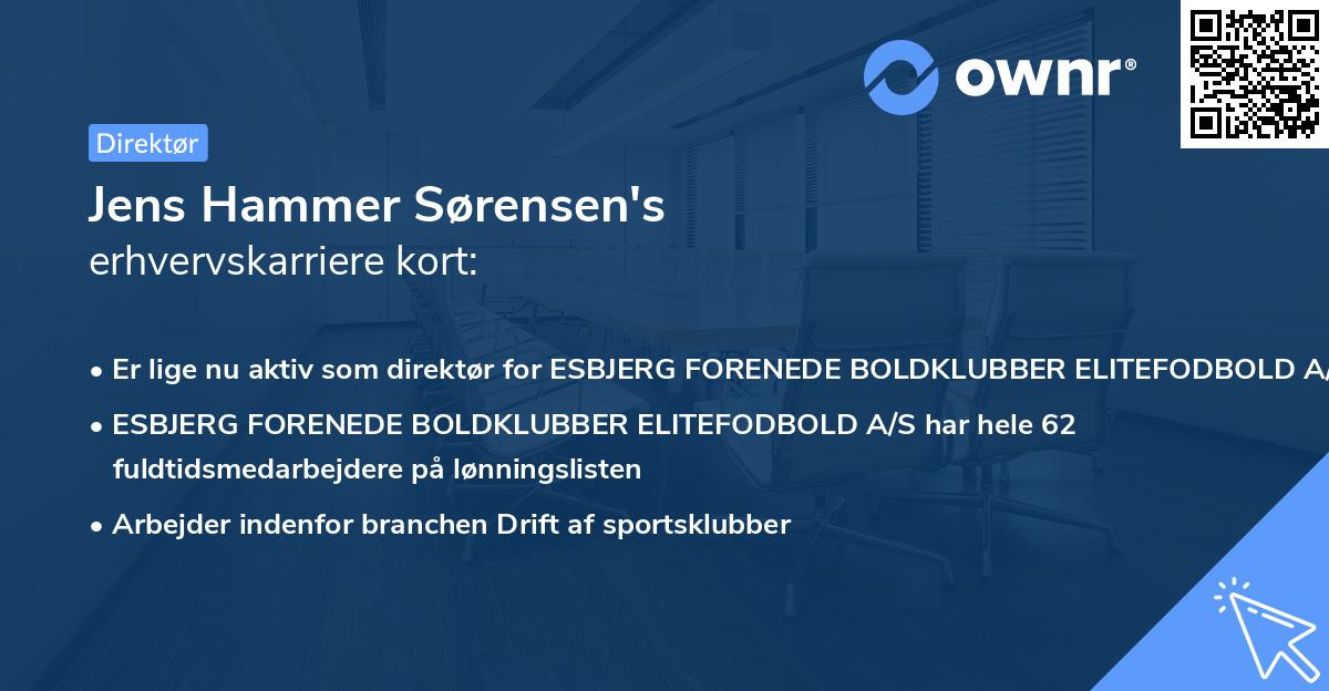 Jens Hammer Sørensen's erhvervskarriere kort