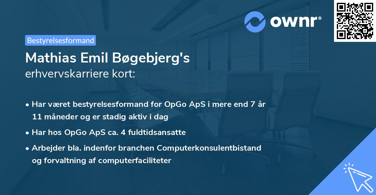 Mathias Emil Bøgebjerg's erhvervskarriere kort