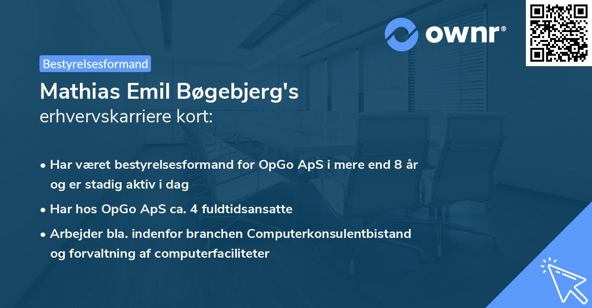 Mathias Emil Bøgebjerg's erhvervskarriere kort