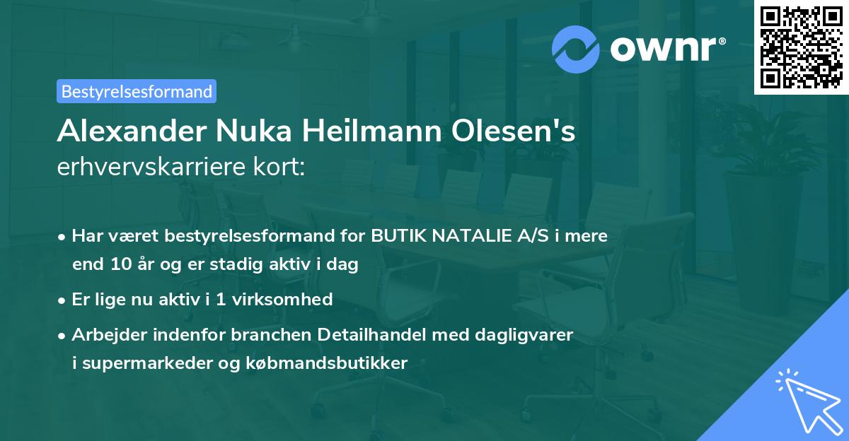 Alexander Nuka Heilmann Olesen's erhvervskarriere kort