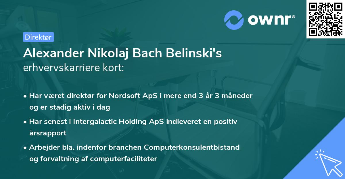 Alexander Nikolaj Bach Belinski's erhvervskarriere kort