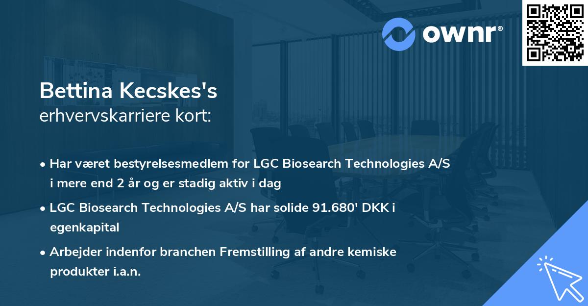 Bettina Kecskes's erhvervskarriere kort