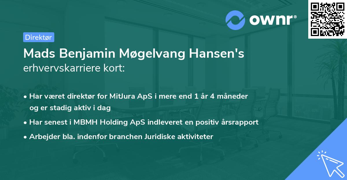 Mads Benjamin Møgelvang Hansen's erhvervskarriere kort