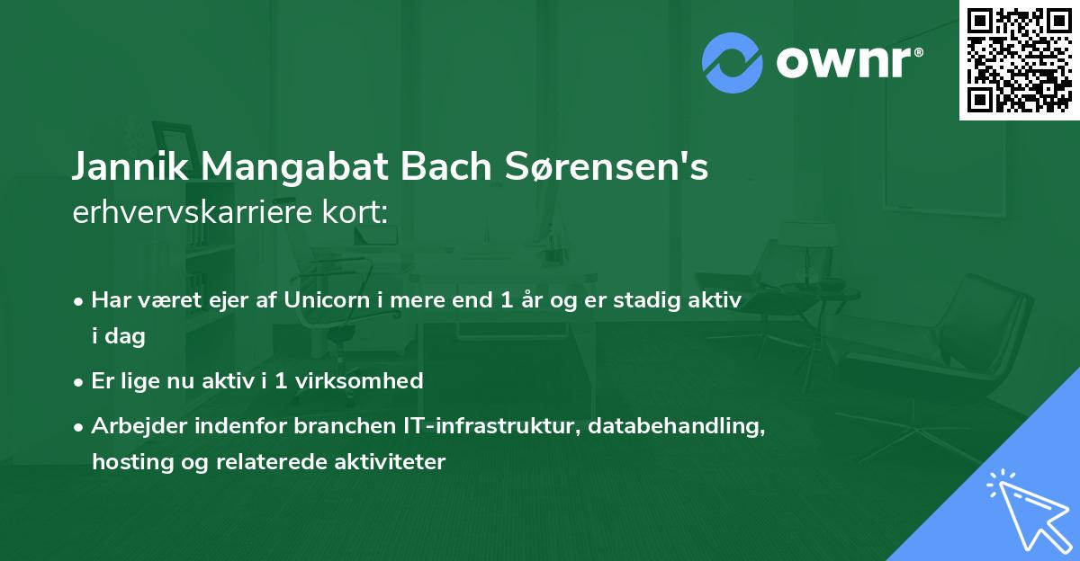 Jannik Mangabat Bach Sørensen's erhvervskarriere kort