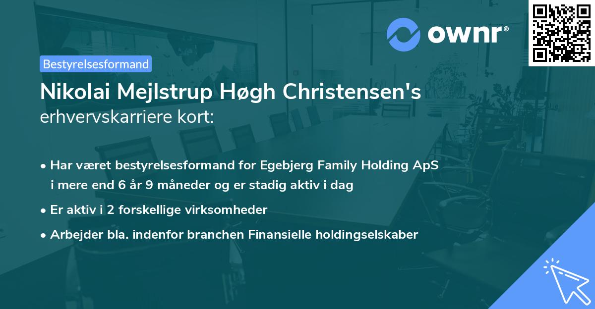 Nikolai Mejlstrup Høgh Christensen's erhvervskarriere kort