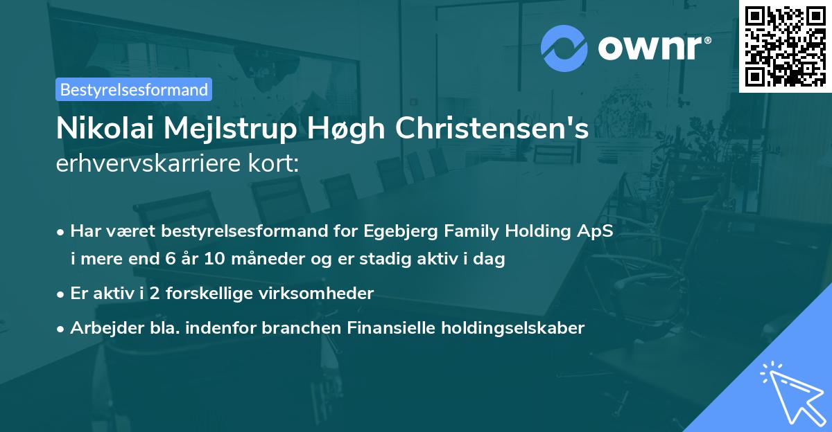 Nikolai Mejlstrup Høgh Christensen's erhvervskarriere kort