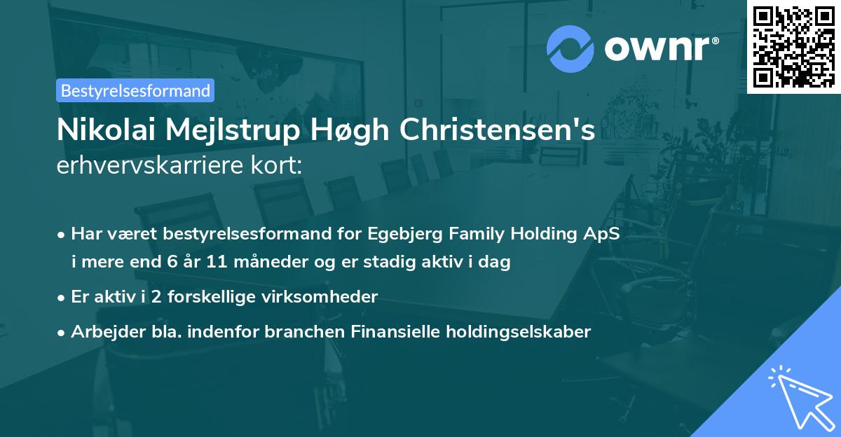 Nikolai Mejlstrup Høgh Christensen's erhvervskarriere kort