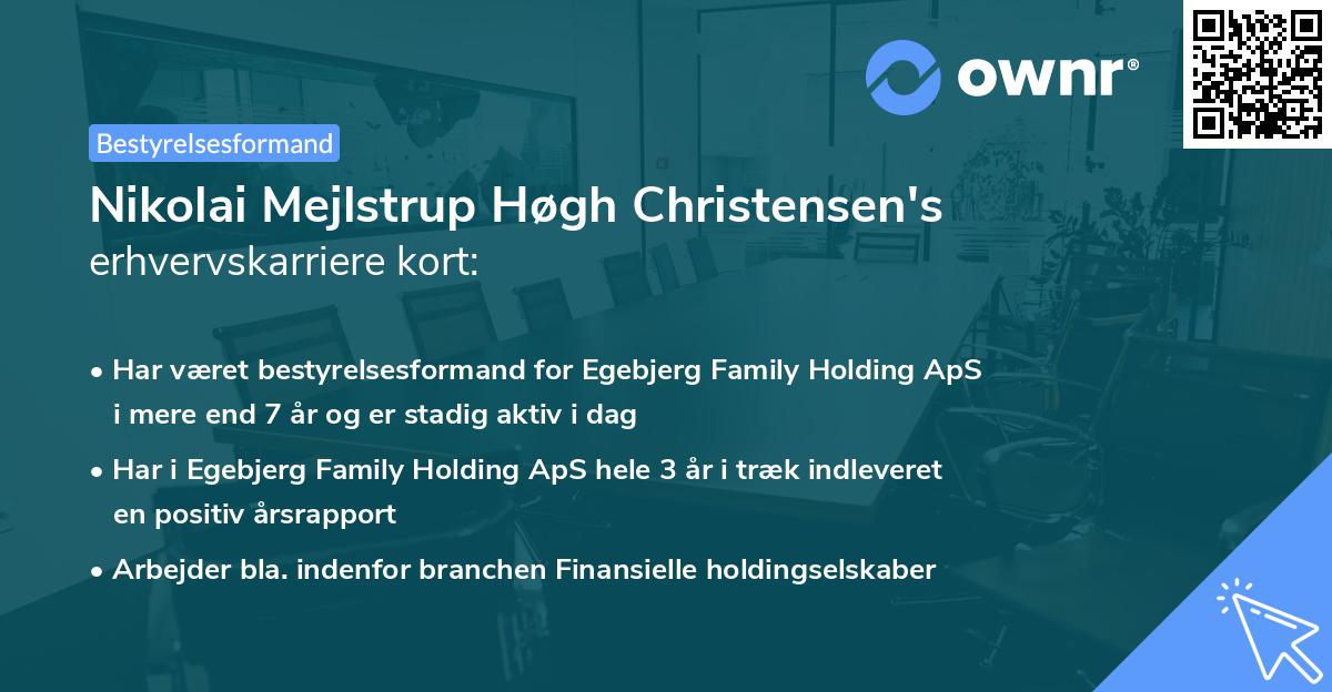 Nikolai Mejlstrup Høgh Christensen's erhvervskarriere kort