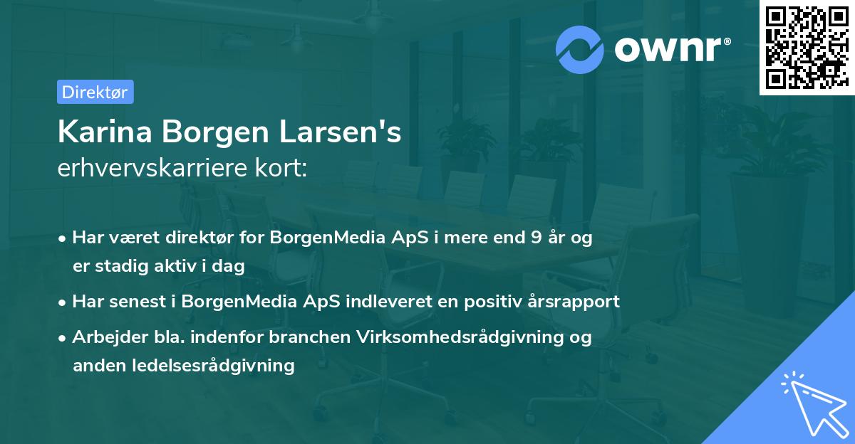 Karina Borgen Larsen's erhvervskarriere kort
