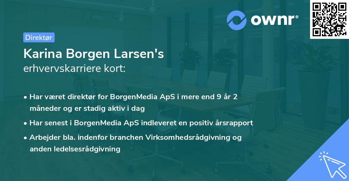 Karina Borgen Larsen's erhvervskarriere kort