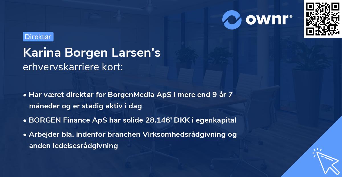 Karina Borgen Larsen's erhvervskarriere kort