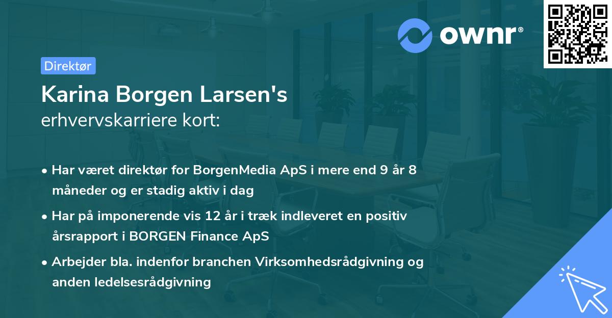 Karina Borgen Larsen's erhvervskarriere kort