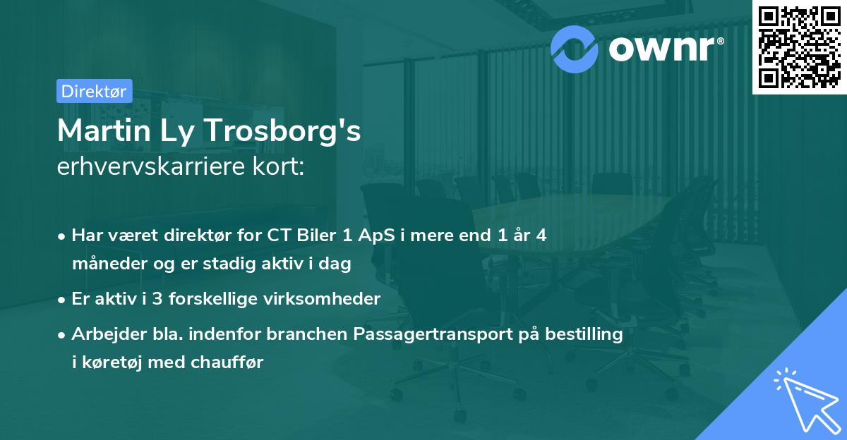 Martin Ly Trosborg's erhvervskarriere kort
