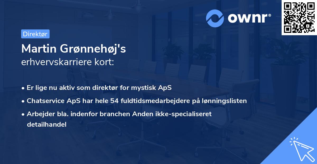 Martin Grønnehøj's erhvervskarriere kort