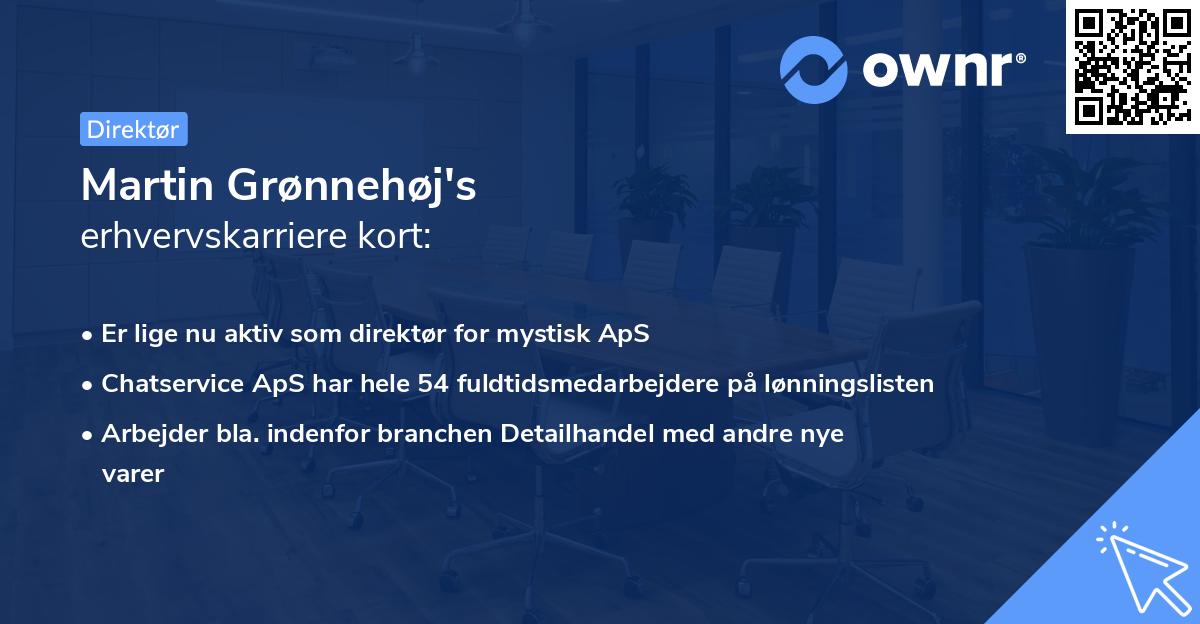 Martin Grønnehøj's erhvervskarriere kort