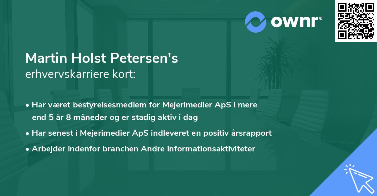 Martin Holst Petersen's erhvervskarriere kort