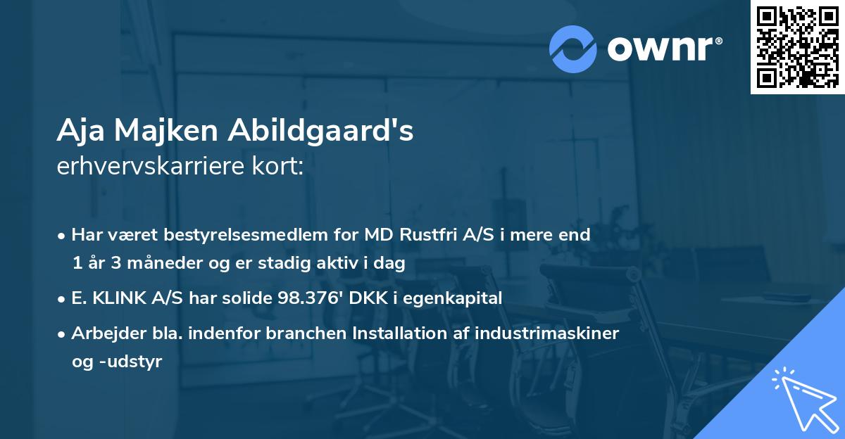 Aja Majken Abildgaard's erhvervskarriere kort