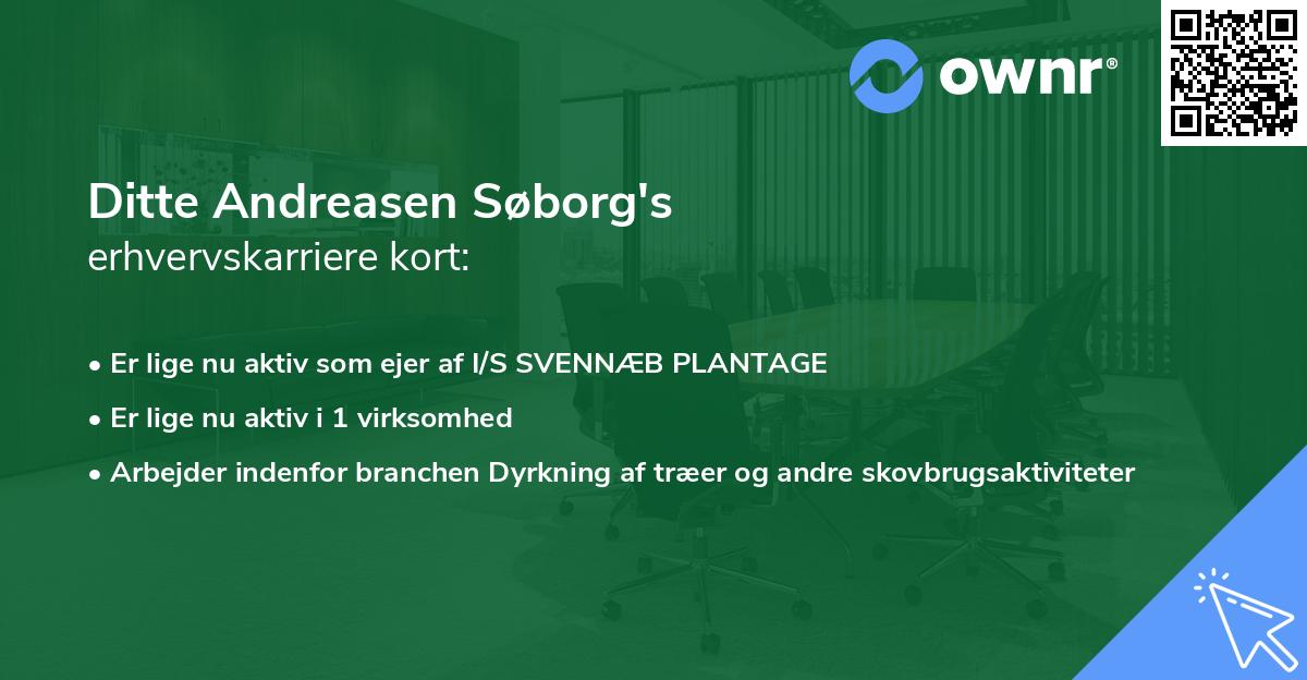 Ditte Andreasen Søborg's erhvervskarriere kort