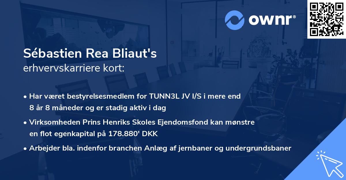 Sébastien Rea Bliaut's erhvervskarriere kort