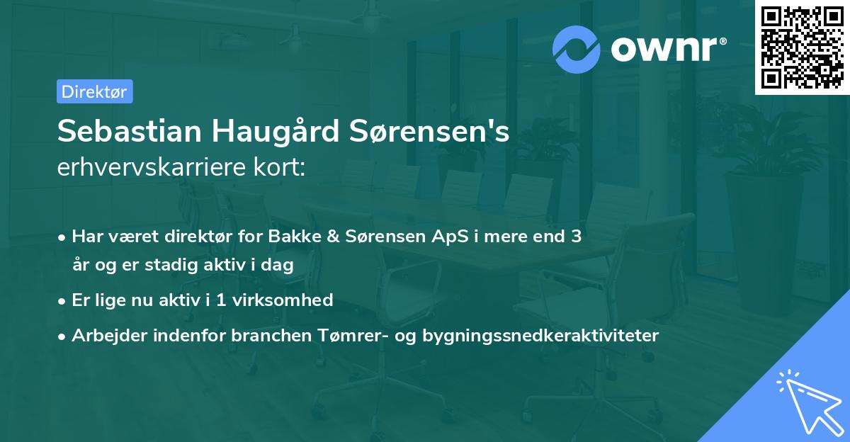 Sebastian Haugård Sørensen's erhvervskarriere kort