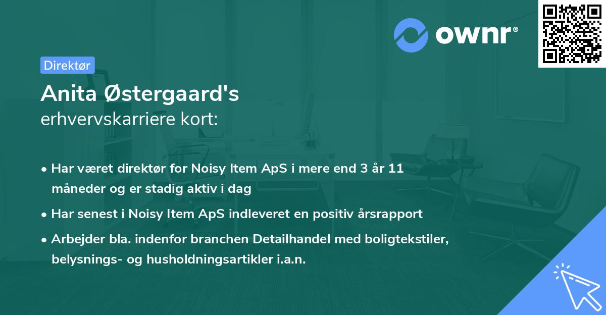 Anita Østergaard's erhvervskarriere kort