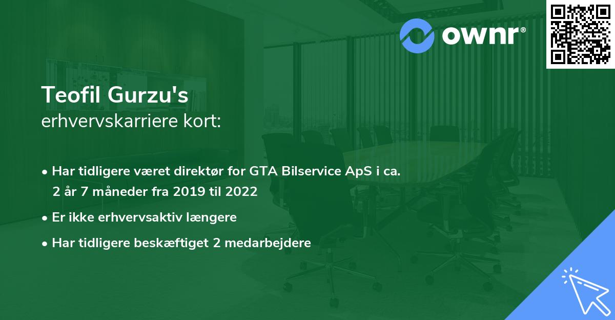 Teofil Gurzu's erhvervskarriere kort