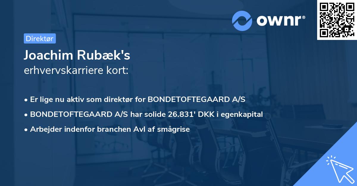 Joachim Rubæk's erhvervskarriere kort