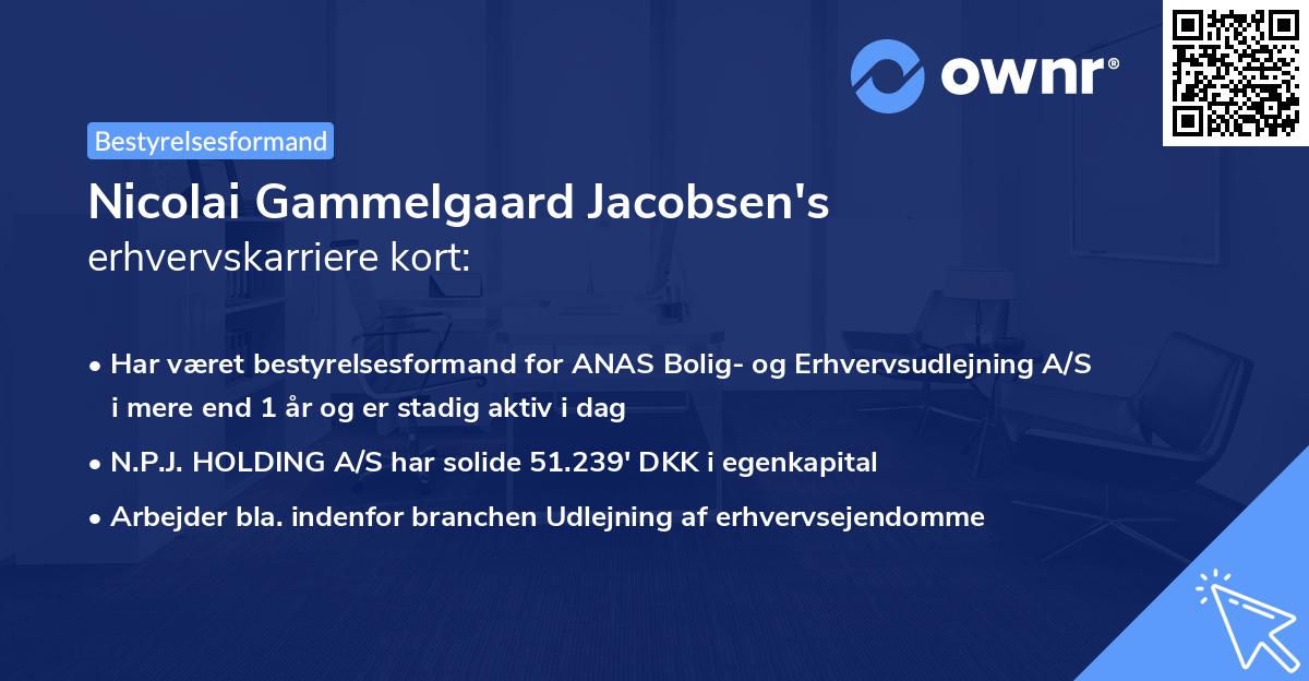 Nicolai Gammelgaard Jacobsen's erhvervskarriere kort