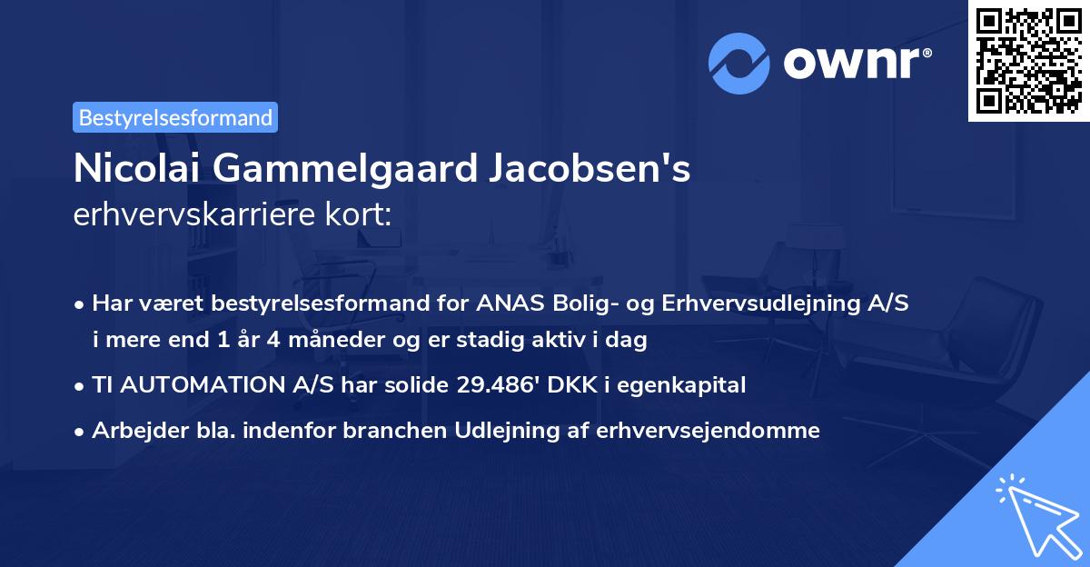 Nicolai Gammelgaard Jacobsen's erhvervskarriere kort