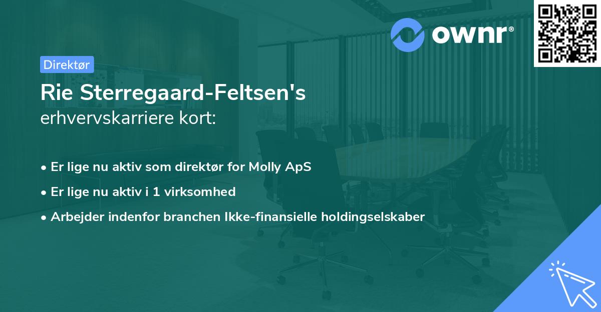 Rie Sterregaard-Feltsen's erhvervskarriere kort