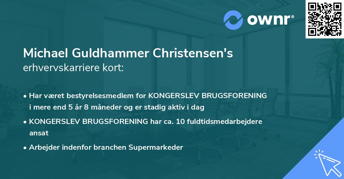 Michael Guldhammer Christensen's erhvervskarriere kort