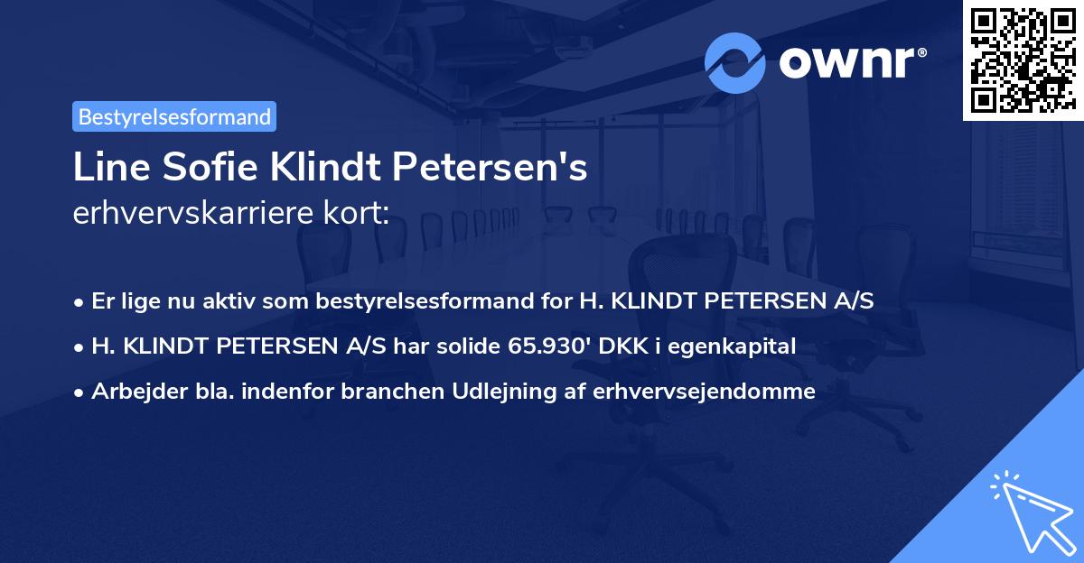 Line Sofie Klindt Petersen's erhvervskarriere kort