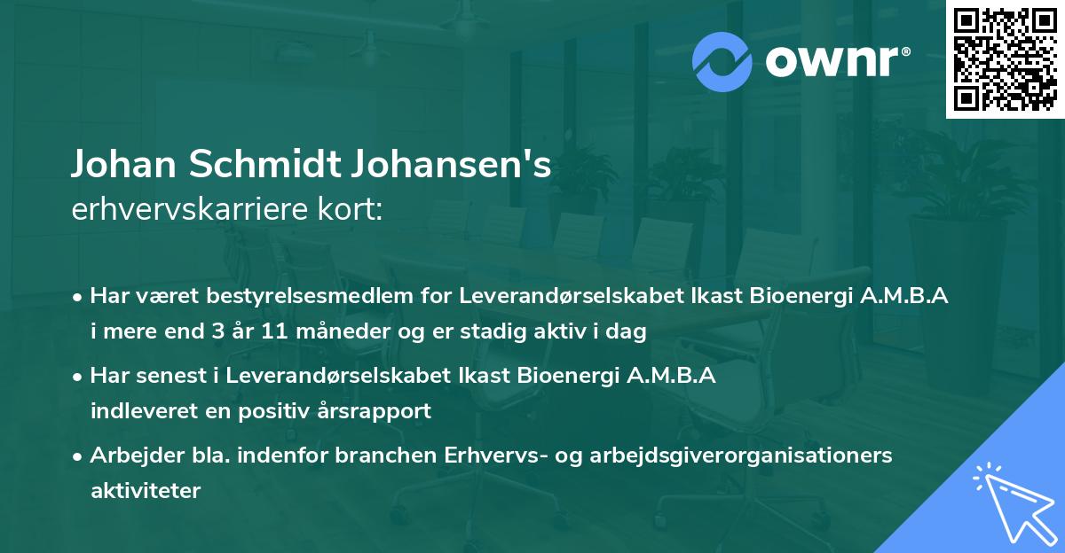 Johan Schmidt Johansen's erhvervskarriere kort