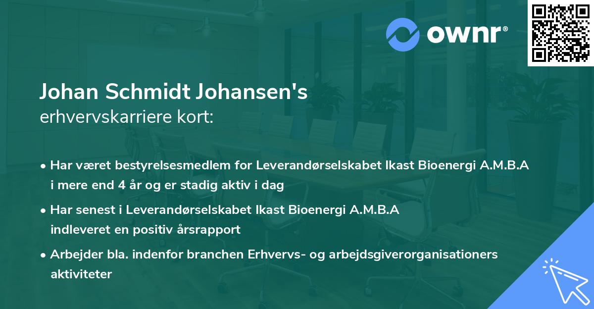 Johan Schmidt Johansen's erhvervskarriere kort