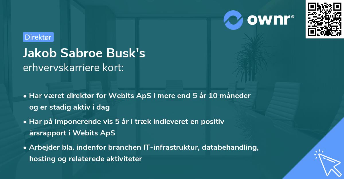 Jakob Sabroe Busk's erhvervskarriere kort