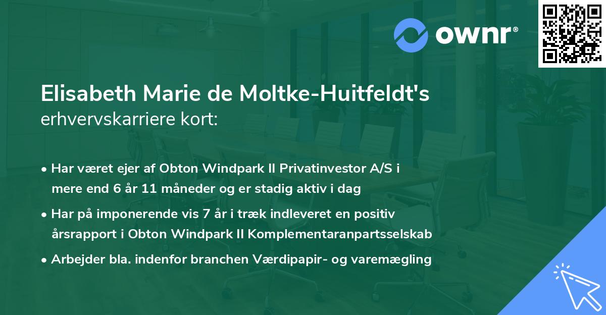 Elisabeth Marie de Moltke-Huitfeldt's erhvervskarriere kort