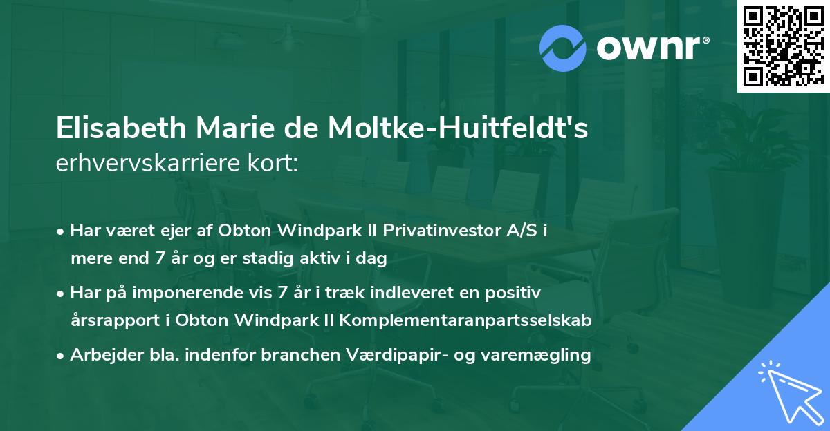 Elisabeth Marie de Moltke-Huitfeldt's erhvervskarriere kort