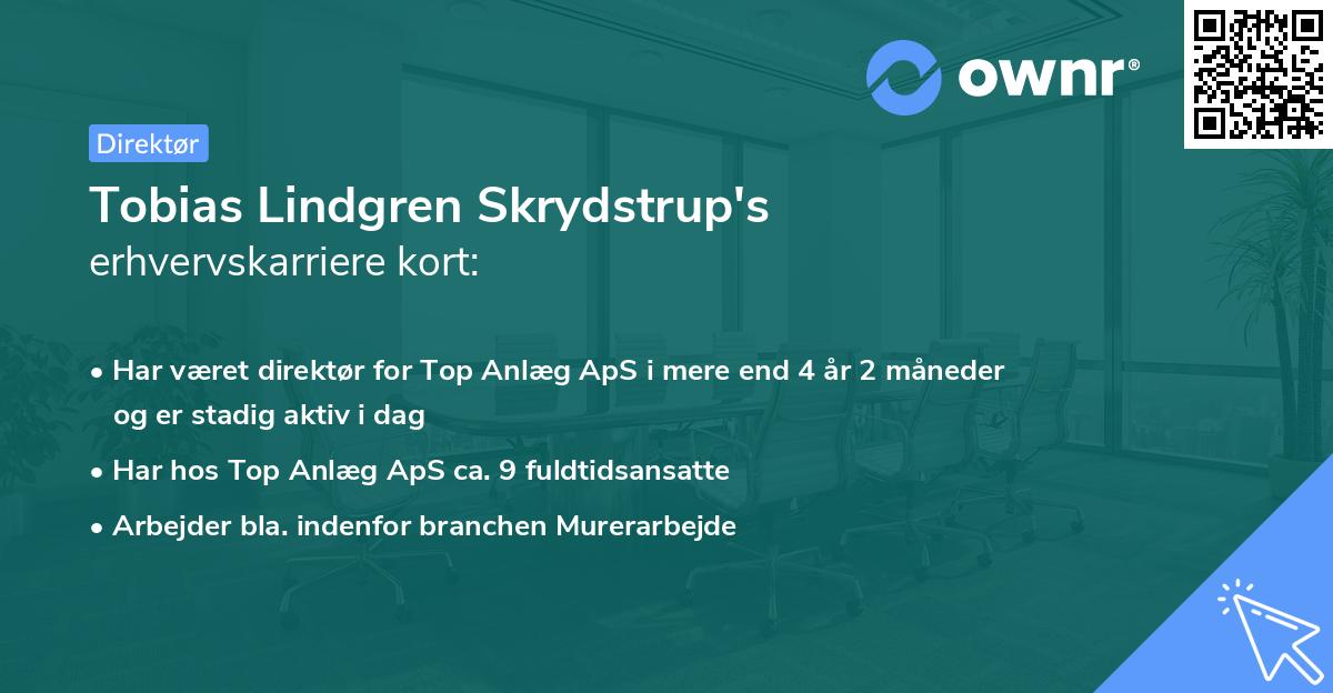 Tobias Lindgren Skrydstrup's erhvervskarriere kort