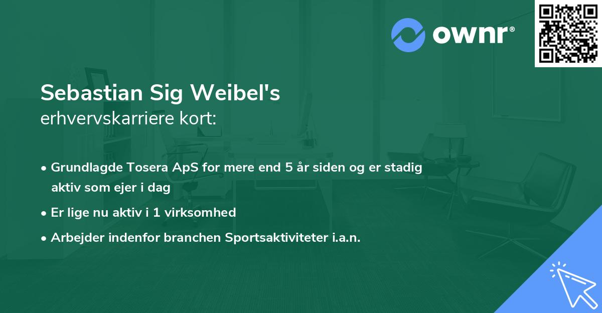 Sebastian Sig Weibel's erhvervskarriere kort