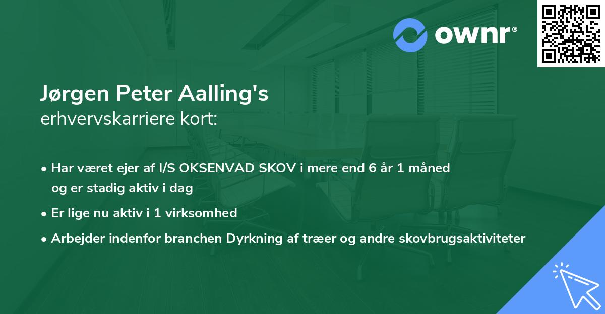 Jørgen Peter Aalling's erhvervskarriere kort