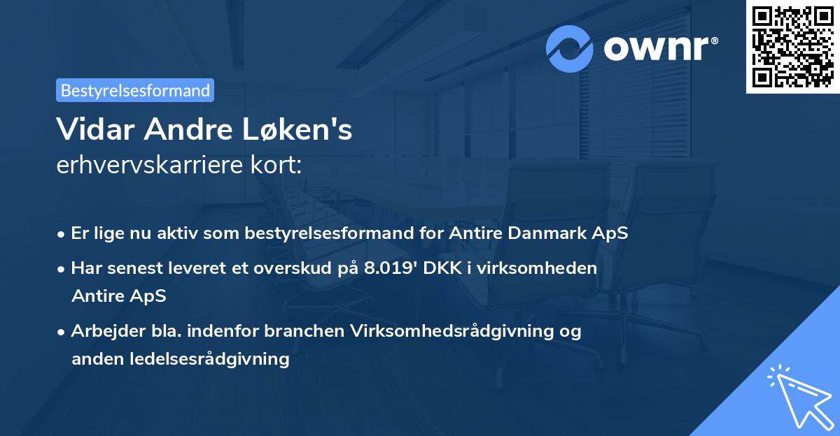 Vidar Andre Løken's erhvervskarriere kort