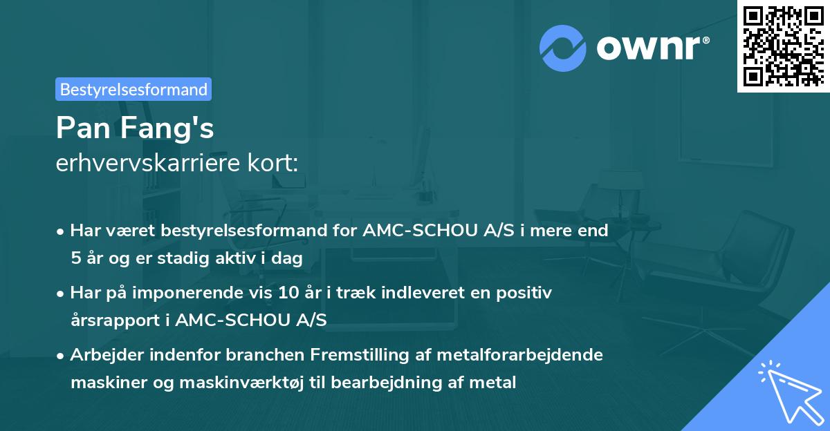 Pan Fang's erhvervskarriere kort