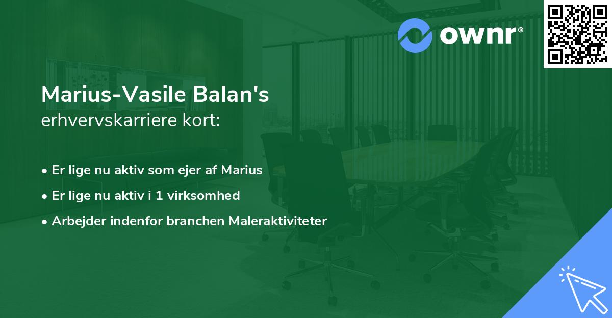 Marius-Vasile Balan's erhvervskarriere kort