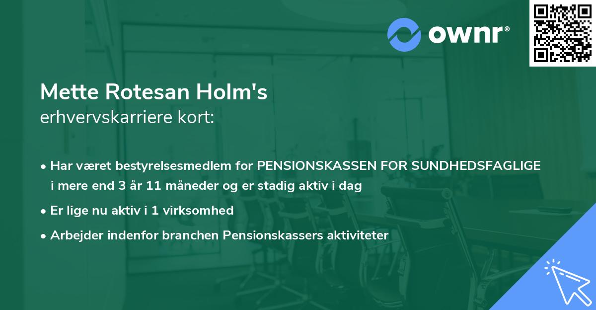 Mette Rotesan Holm's erhvervskarriere kort