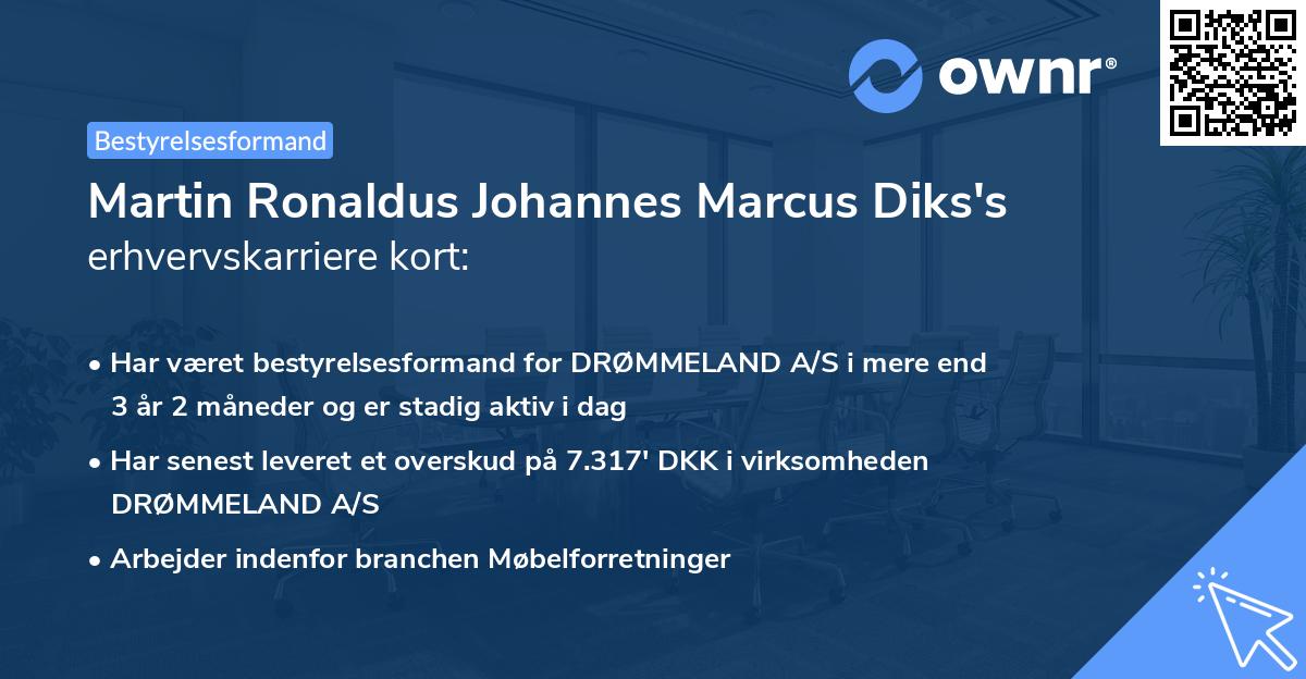 Martin Ronaldus Johannes Marcus Diks's erhvervskarriere kort