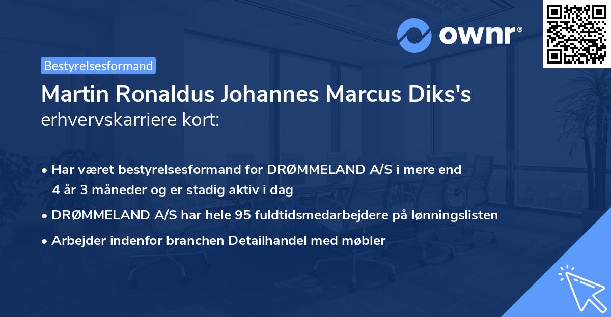 Martin Ronaldus Johannes Marcus Diks's erhvervskarriere kort